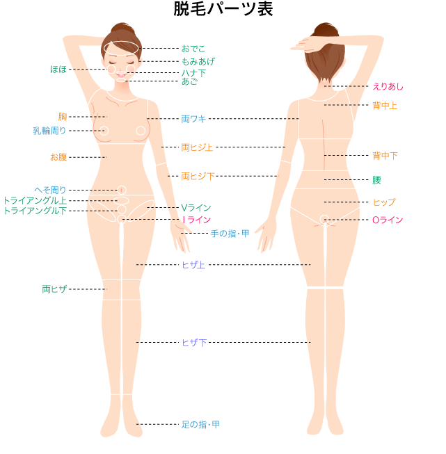 脱毛パーツイメージ表
